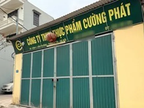 300 tấn thịt lợn bệnh ra thị trường: Doanh nghiệp suất ăn khẳng định không tiếp tay