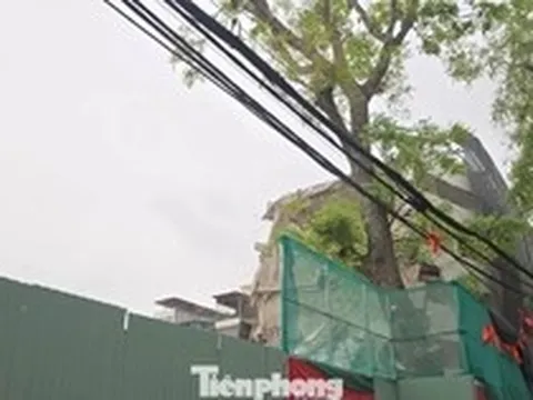 Phạt 200 triệu đồng đơn vị gây 'bão bụi' giữa Hà Nội