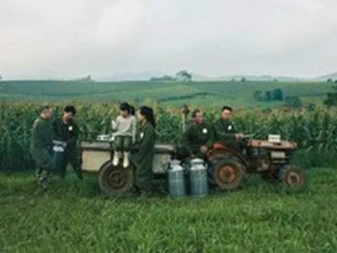 Doanh thu thuần Mộc Châu Milk đạt 741,6 tỷ đồng trong Quý I, kỳ vọng tăng trưởng năm 2026