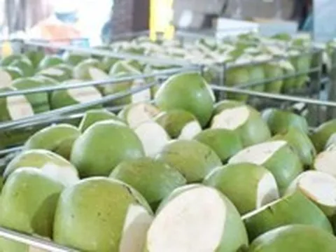 Dừa tươi tăng giá gấp 3 lần