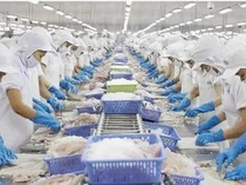 Xuất khẩu thủy sản hướng tới mục tiêu 12 tỷ USD