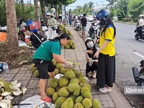 Sầu riêng tại vườn rớt giá, vì sao người tiêu dùng vẫn mua đắt?