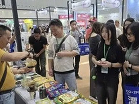 Sức hút của thị trường cà phê Trung Quốc
