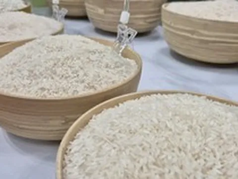 Ngành điều, gạo, rau quả trước quy định nhập khẩu mới của Trung Quốc