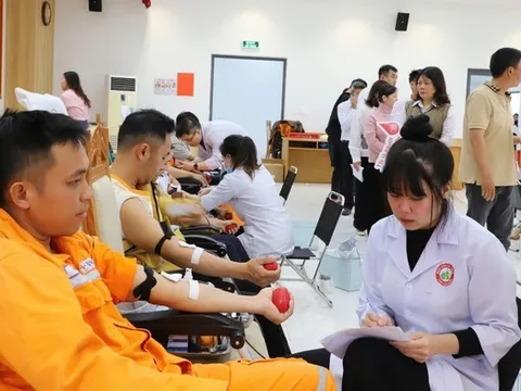 Tuổi trẻ Công ty Điện lực Lâm Đồng sôi nổi phong trào, khẳng định tinh thần xung kích