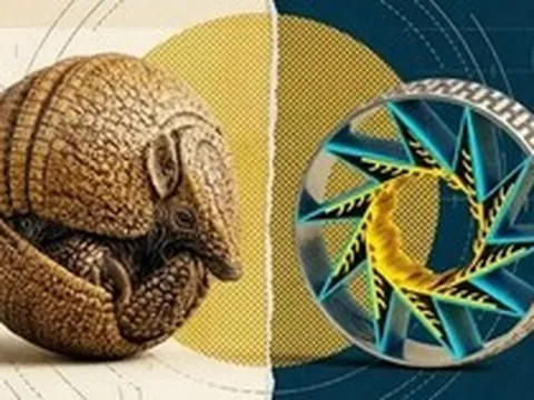 Các nhà khoa học lấy cảm hứng từ loài tatu, tạo ra công nghệ mới có thể tự "mặc giáp" khi gặp nguy hiểm