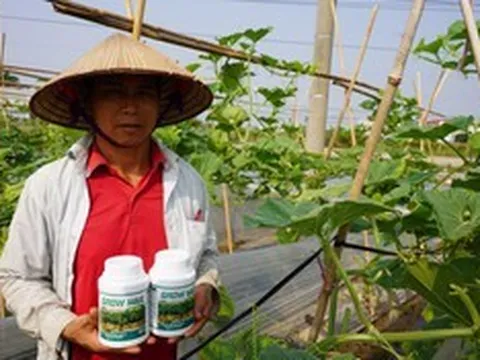 GROW MAX NPK 8000 – Giải Pháp Tối Ưu Quang Hợp, Đẩy Nhanh Tiến Độ Kiến Thiết Tán Cây