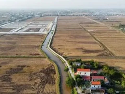 Đề xuất nâng mức đặt cọc đấu giá tối thiểu lên 20%: Kỳ vọng chặn 'cò' thổi giá đất