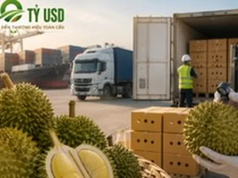 'Sầu riêng Việt Nam sang Trung Quốc gần như lô nào cũng bị kiểm tra, trong khi Thái Lan có tỷ lệ rất thấp'