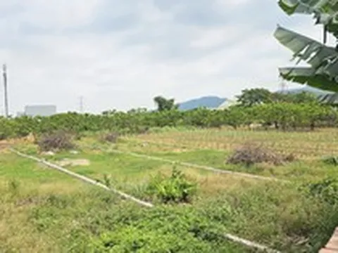 Quảng Ninh: 317 hồ sơ chuyển từ đất nông nghiệp sang đất ở, phường giải trình thế nào?