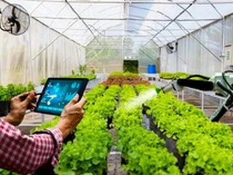 TP. Hồ Chí Minh: Tạm thời chưa giải quyết xây dựng công trình trên đất nông nghiệp