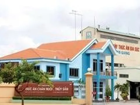 Một công ty nông nghiệp “tất tay” hơn 220 tỷ đồng vào cổ phiếu VIC
