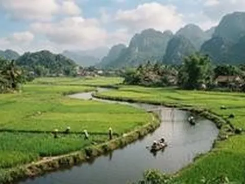 1 sào ruộng bằng bao nhiêu mét vuông?
