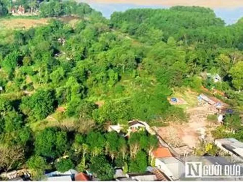 Từ ngày 31/8, tự ý chuyển đất trồng lúa sang đất ở bị phạt nặng