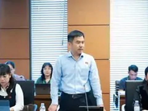 Lan ‘đột biến’, cây cảnh trăm tỷ: Có dấu hiệu rửa tiền không?