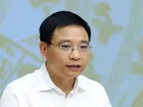 Làm việc với thuế và hải quan, Phó Thủ tướng yêu cầu: Không đẩy doanh nghiệp ‘đi vòng’