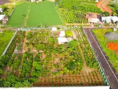 Vì sao chưa thu hồi được hơn 15 tỉ đồng tiền cọc đấu giá đất tại Gia Lai?