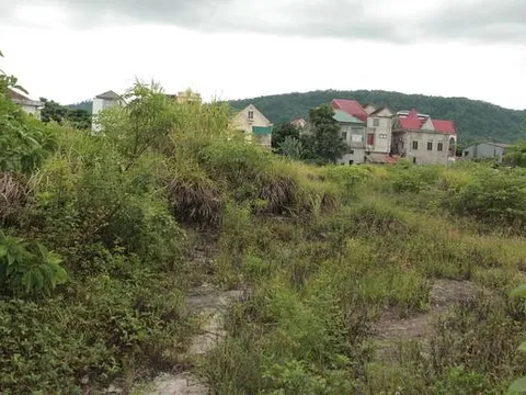 Cận cảnh khu chợ cũ hơn 10.000m2 bỏ hoang nhiều năm, cỏ mọc um tùm