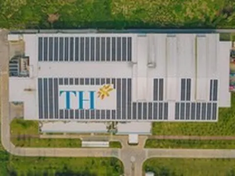Chị em Chủ tịch công ty mía đường 120 tỷ bán hơn 50% vốn cho Tập đoàn TH