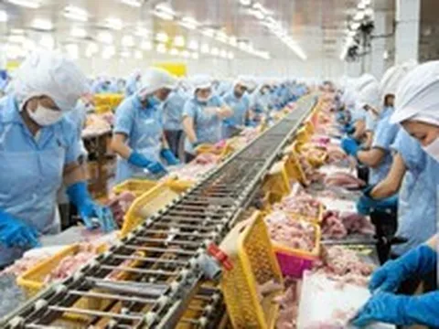 Con trai 'vua cá rô phi' lần thứ 3 mua thêm 1 triệu cổ phiếu ANV khi thị giá giảm gần 40% từ đầu năm