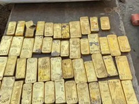 Đi làm thêm, một sinh viên 18 tuổi phát hiện loạt thỏi vàng và đồng xu trị giá 284 tỷ đồng