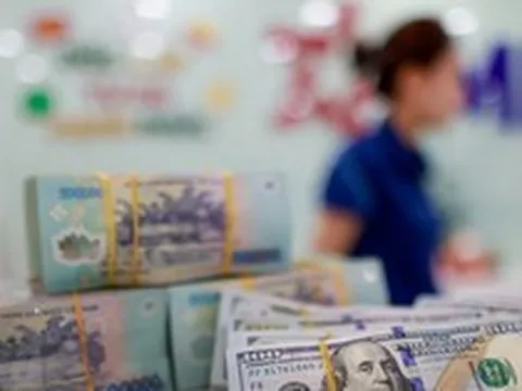 Lãi suất ngân hàng 20/8 tại MB, Sacombank, HDBank, Agribank, Vietcombank, BIDV, VietinBank,...