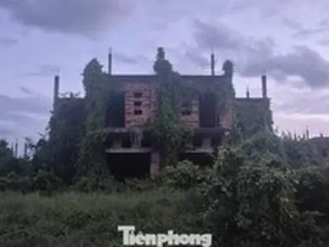 Đồng Nai cảnh báo tình trạng đầu cơ, làm giá nhà đất đón quy hoạch