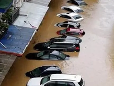 Sắp đấu giá lô xe ô tô bị ngập nước qua nóc, giá từ 2,02 tỷ đồng