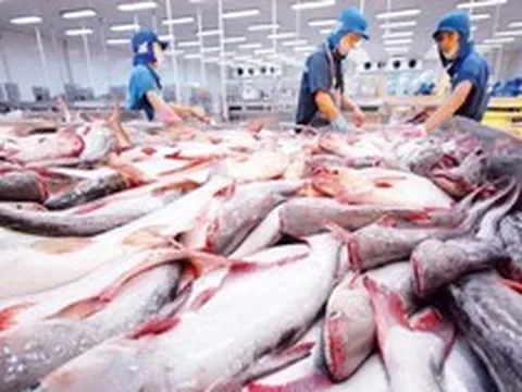 Mặt hàng tỷ đô của Việt Nam gặp ‘cơn bão kép’ tại Mỹ: Xuất khẩu tháng 8 giảm gần 55%, nguy cơ chịu ‘thuế chồng thuế’