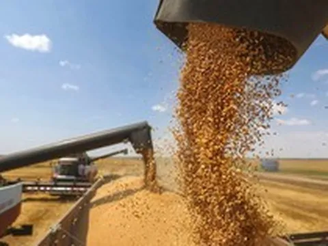 Đột phá mới nhất của Nga có thể tăng tốc lĩnh vực xuất khẩu số 1 thế giới của "xứ Bạch Dương"