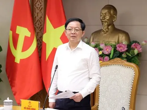 Phó Thủ tướng yêu cầu nghiên cứu thuế chống đầu cơ và xử lý tình trạng đất bỏ hoang