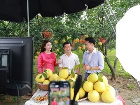 Nâng tầm thương hiệu địa phương, bứt phá trong thời đại kinh tế số