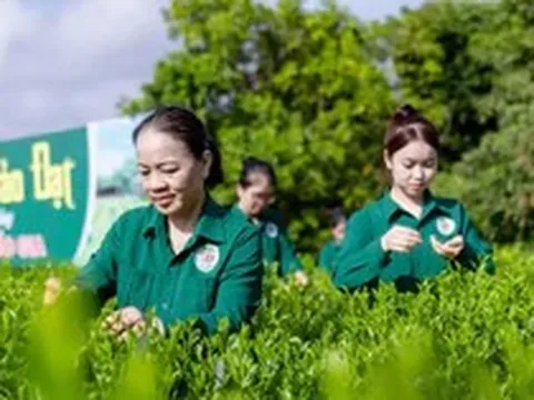 Mô hình 'Hợp tác xã xã hội chủ nghĩa' ở Thái Nguyên có gì đặc biệt?
