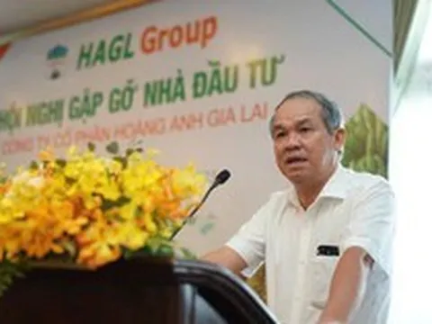 Bầu Đức: Bóng đá Việt Nam muốn đi World Cup, VFF phải có chỗ cho các tỷ phú, doanh nhân biết làm ra tiền và dám tiêu tiền