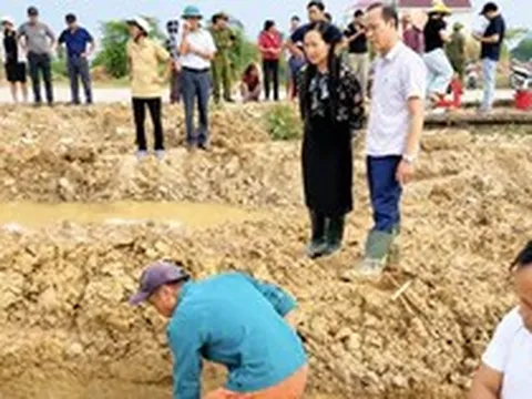 Phát hiện cổ vật thời Trần khi đào móng nhà ở Ninh Bình