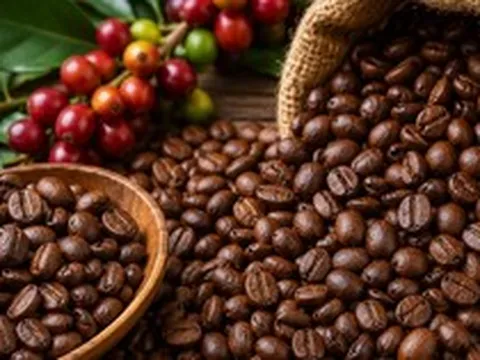 Ngân hàng siết nợ một doanh nghiệp cà phê có tiếng