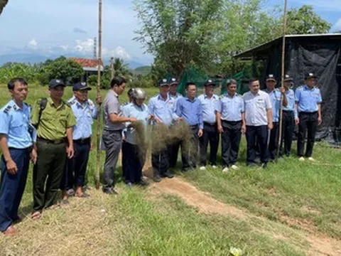 Tăng cường kiểm tra, kiên quyết xử lý bẫy bắt chim yến tại Ninh Hoà