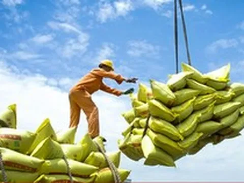 Việt Nam gia tăng lượng xuất khẩu gạo sang Singapore