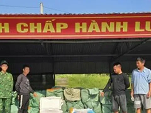 Phát hiện hơn 6 tấn nầm lợn, trứng gà non bốc mùi ở biên giới Quảng Ninh