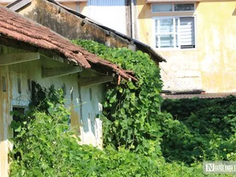Hiện trạng khu nhà đất công gần 6.000m² ở Huế vừa đổi chủ quản sau thời gian dài xuống cấp