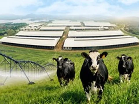 11 sản phẩm TH đạt trung hòa carbon, bước tiến nối dài trên hành trình Net Zero